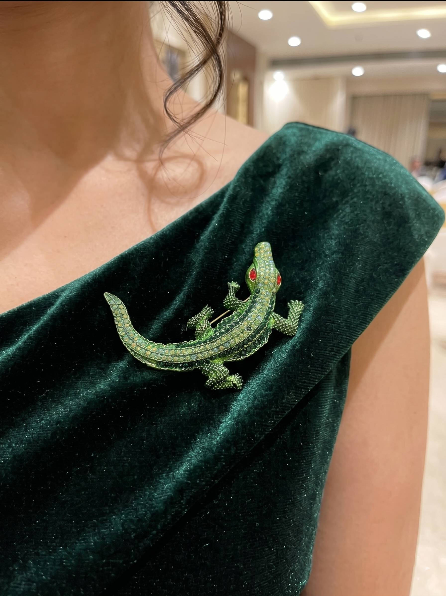 Green velvet garment with a detailed alligator brooch in an indoor setting