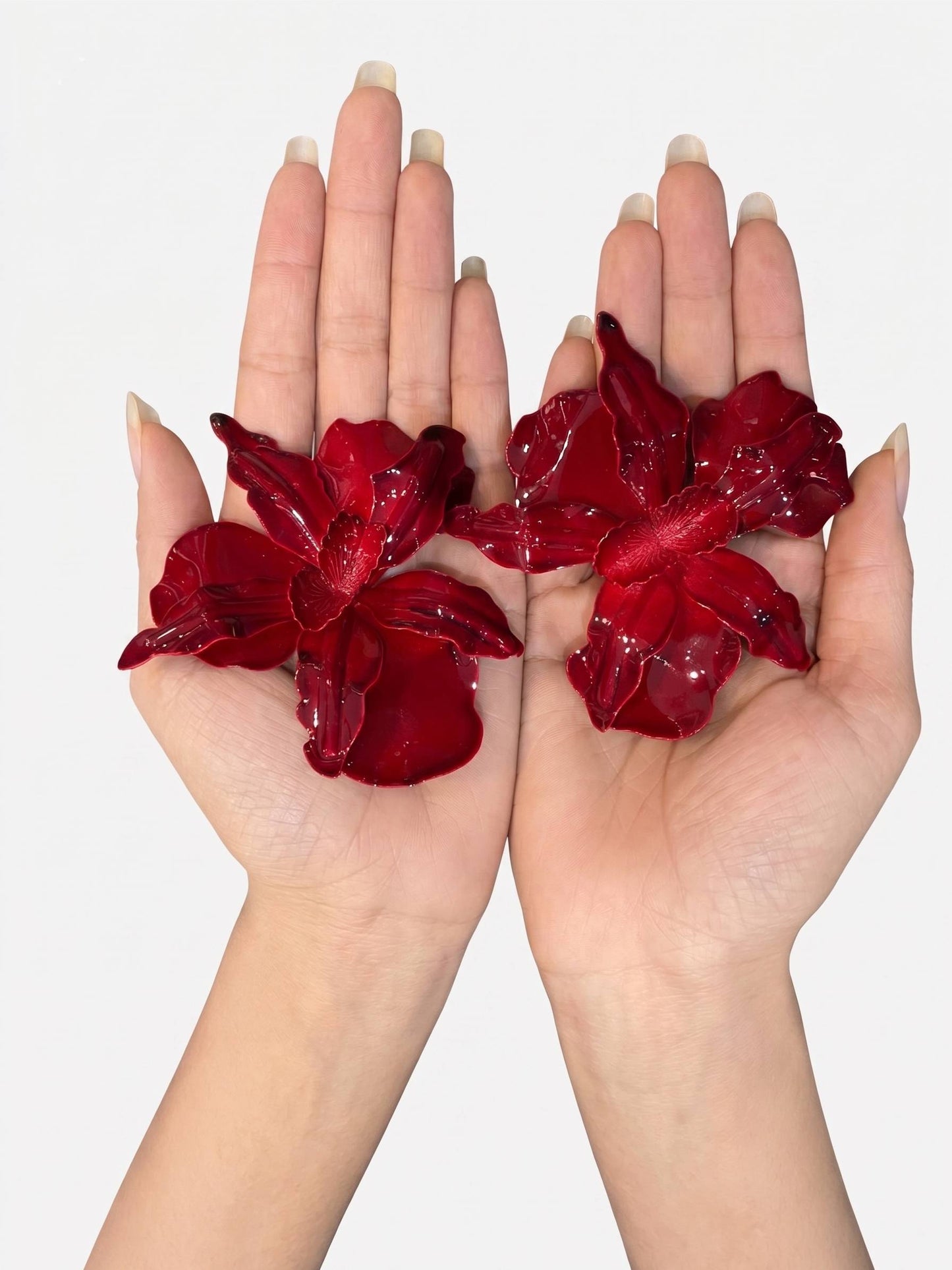 Two hands holding red flowers against a white background