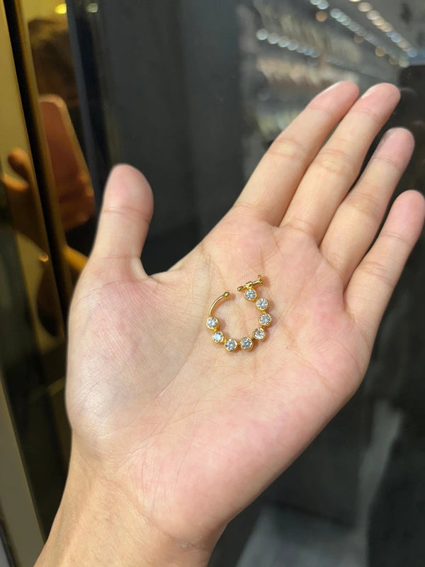 Sterling  Silver Nose Ring (small)